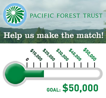 Help us make the match: donate today!