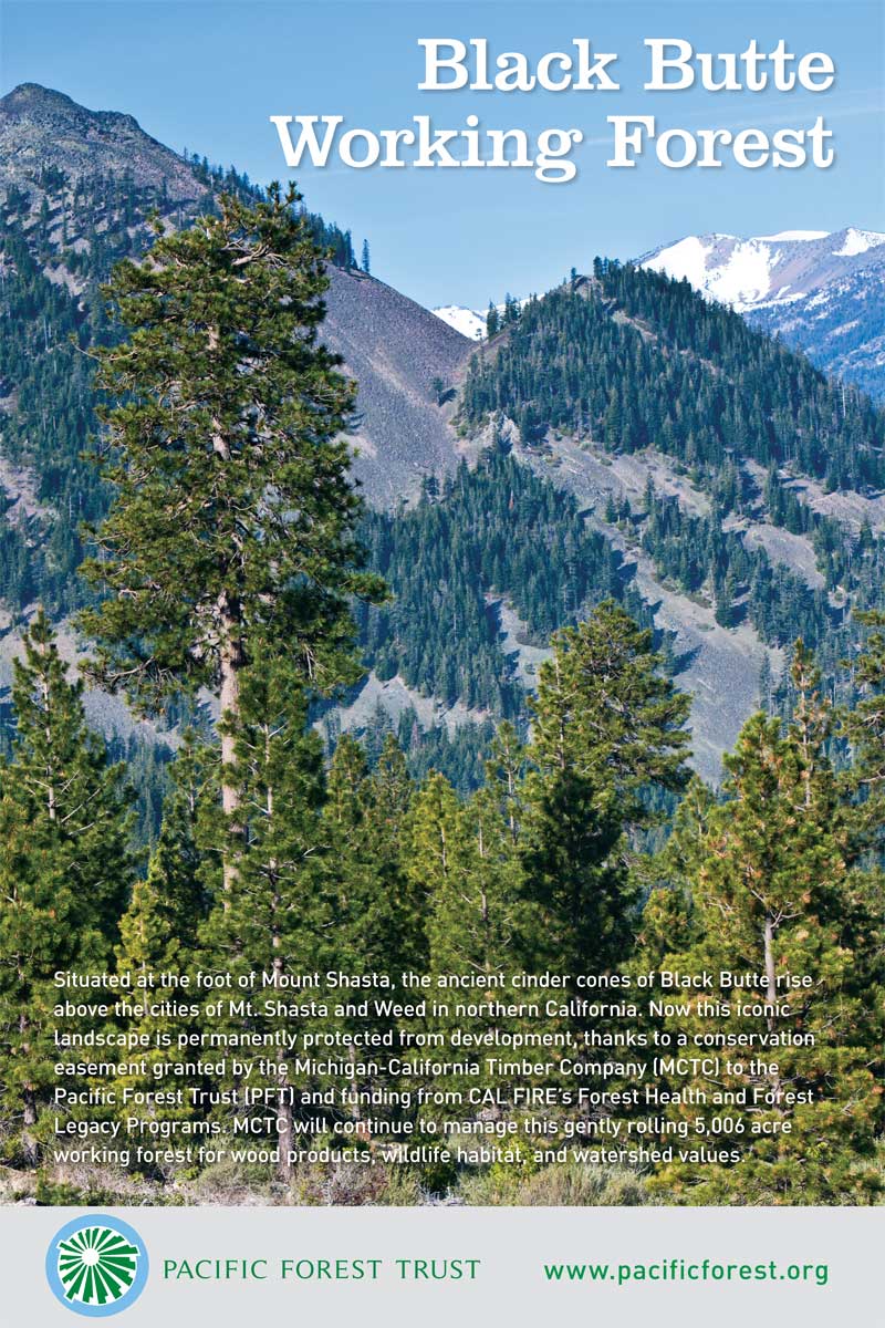 Black Butte PFT poster