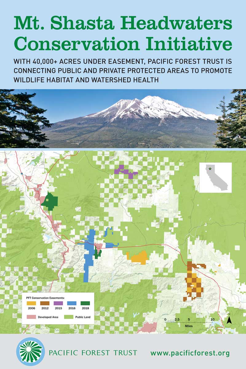 Mt. Shasta conservation area PFT poster