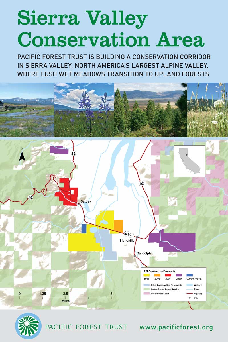 Sierra Valley PFT poster